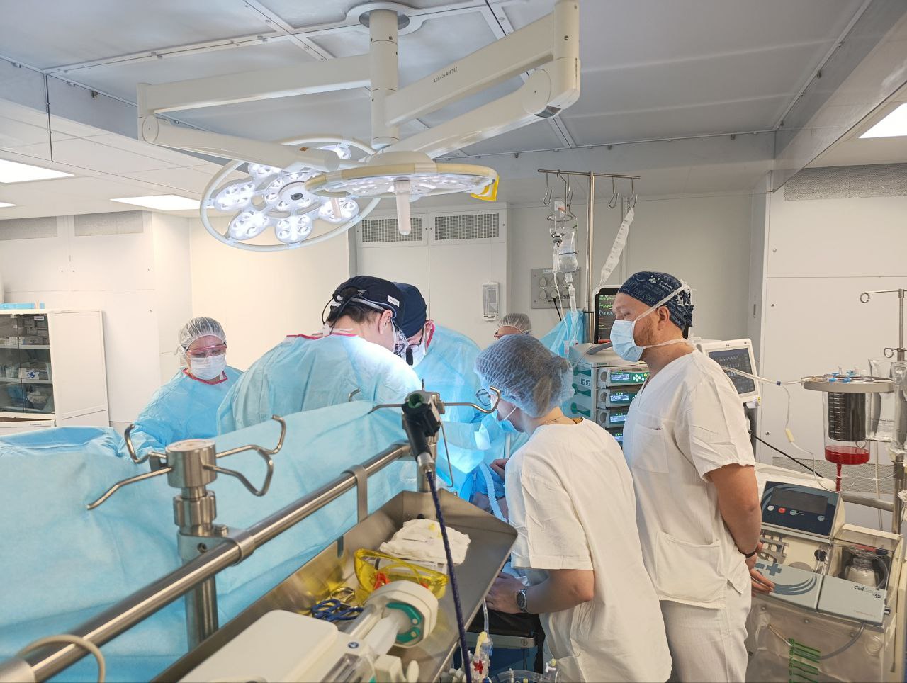 photo 5260505017234427213 y 1